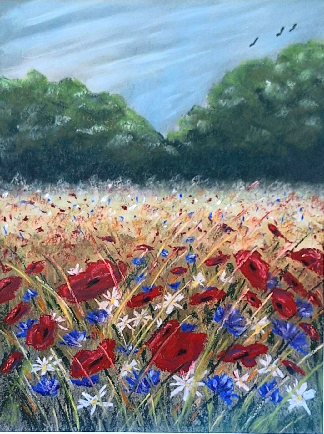 Mohnfeld