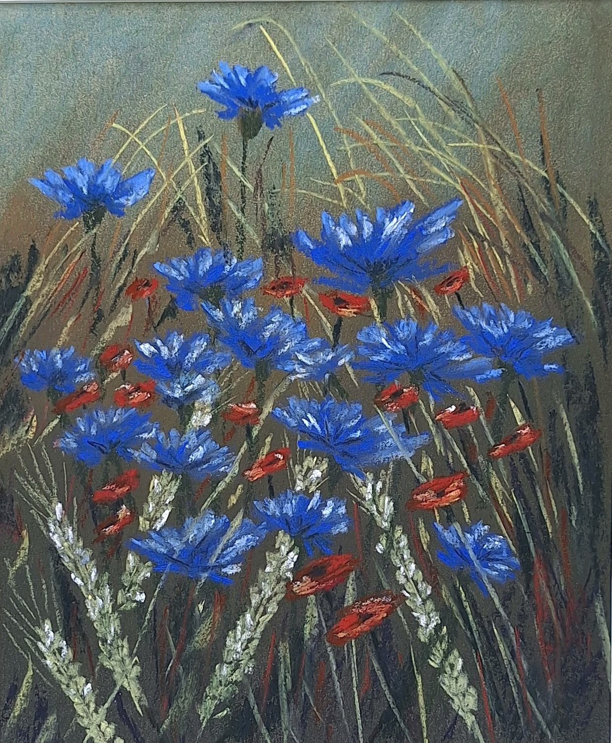 Kornblumen & Mohn