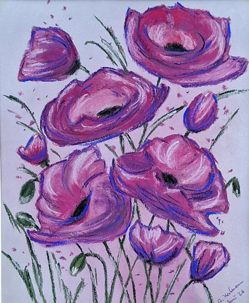 Mohn in Pink