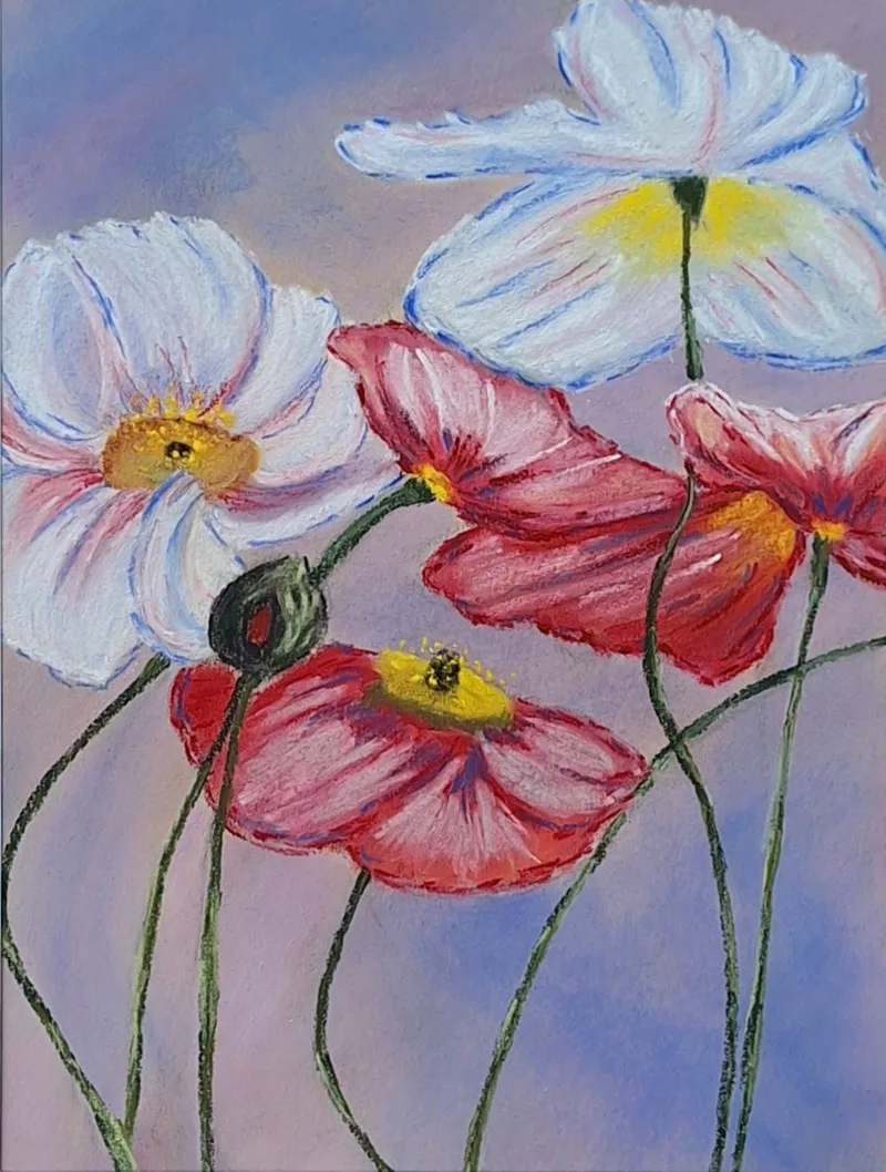 Mohn