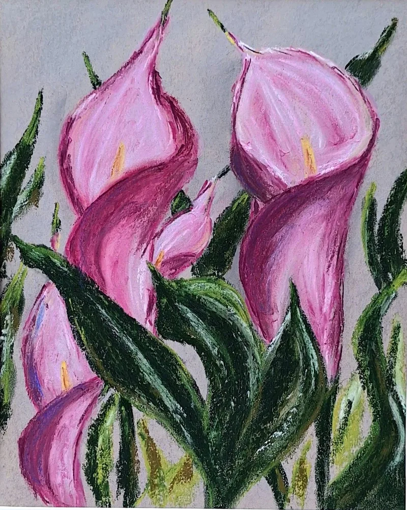 Calla in Pink