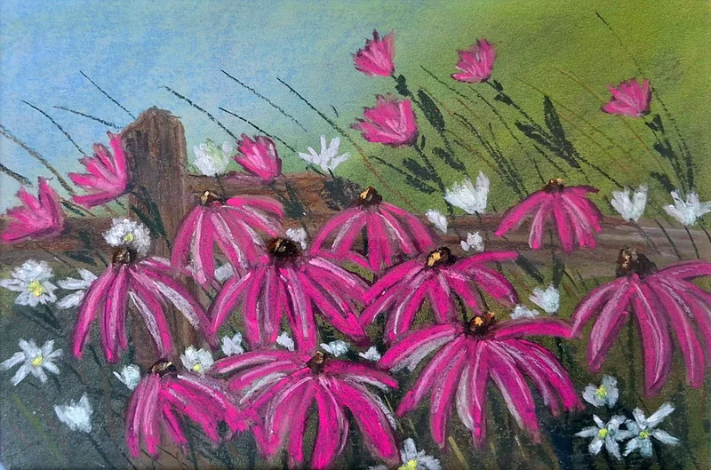 Echinacea in Pink