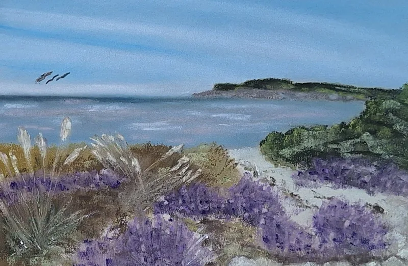 Meer